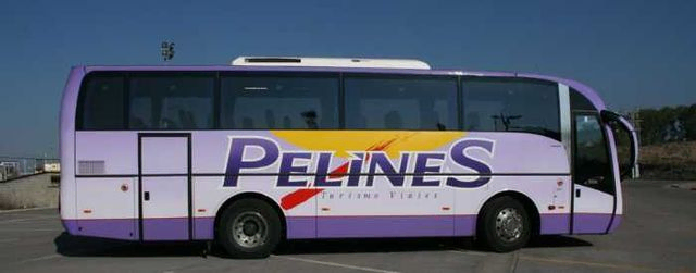 autobus